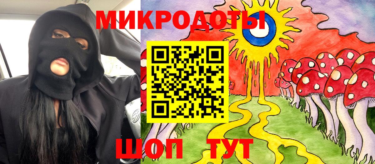 Псилоцибиновые грибы мицелий Ефремов