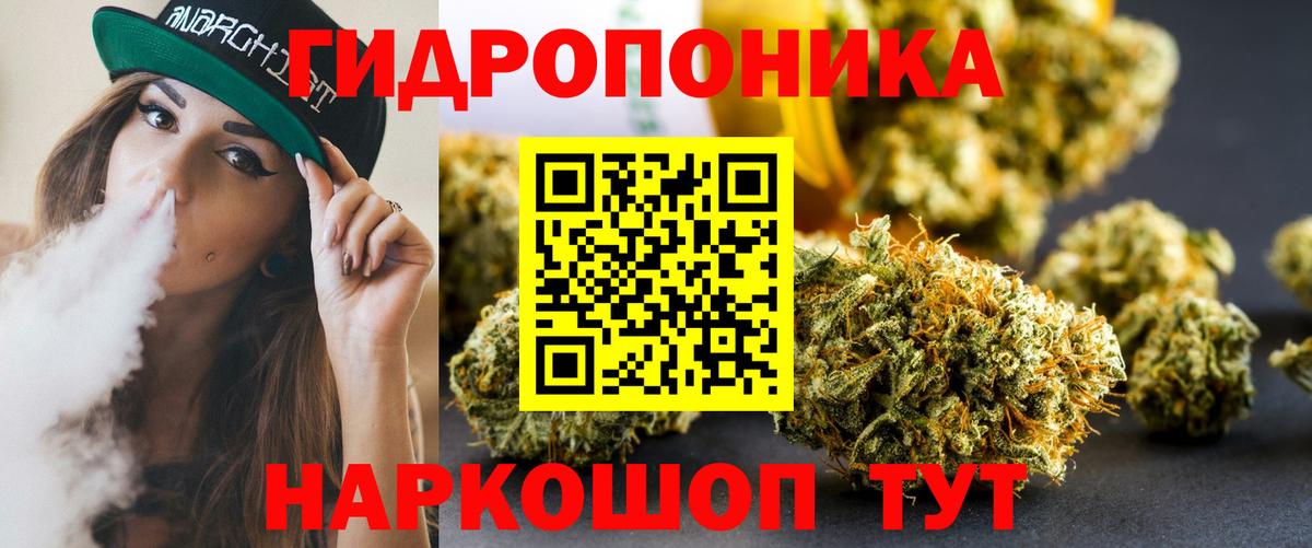Бошки марихуана индика Ефремов